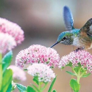 Meet your Posher, Noreen